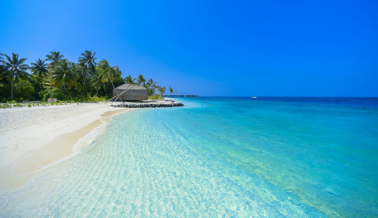 Quiet sandy beach with overhanging palms and reef water.