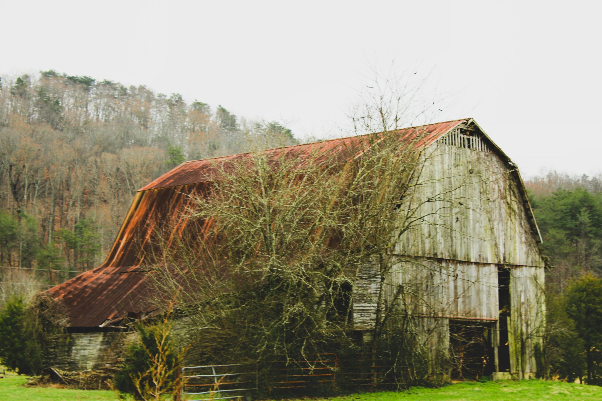 Bolt Farm Treehouse – Whitwell, Tennessee