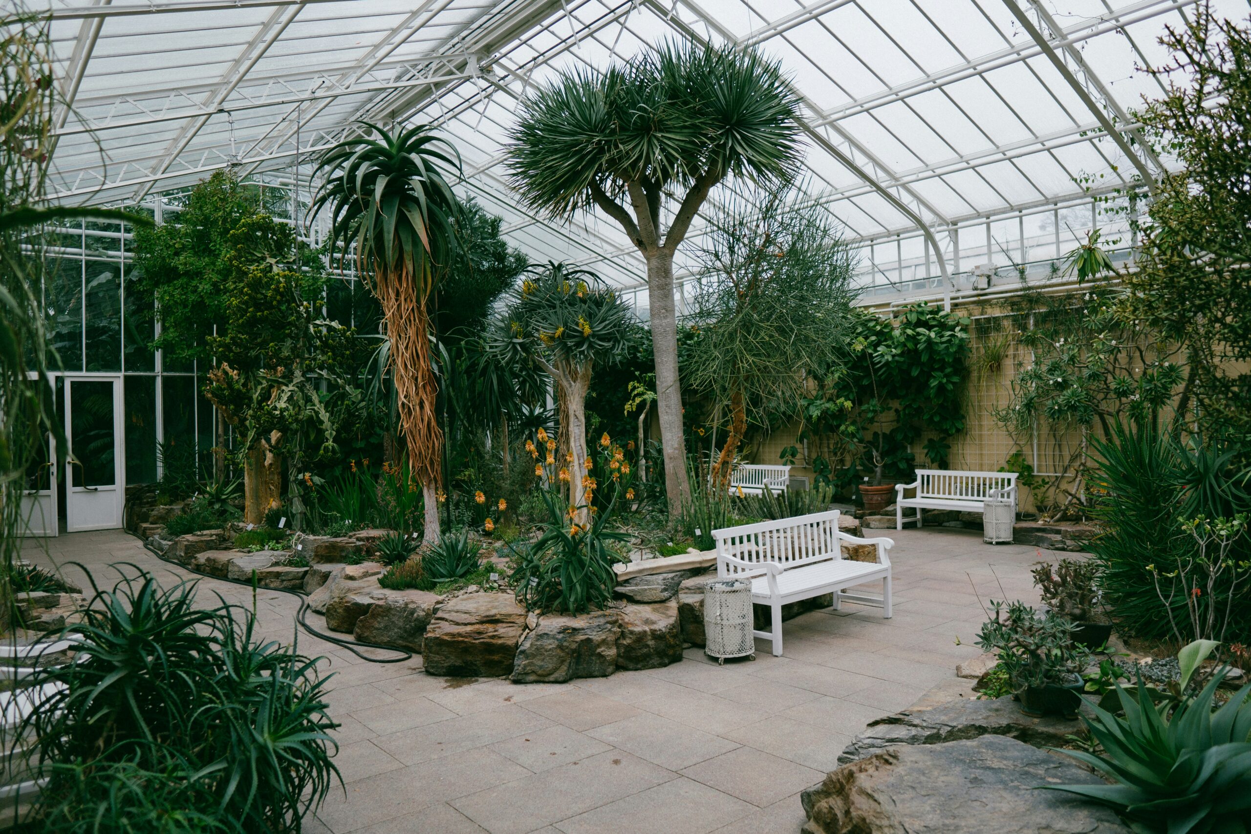 Botanica Wichita