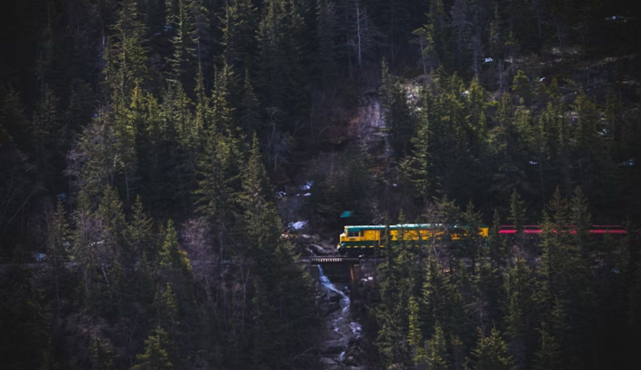 A train traveling through a forested mountain landscape, crossing a bridge.