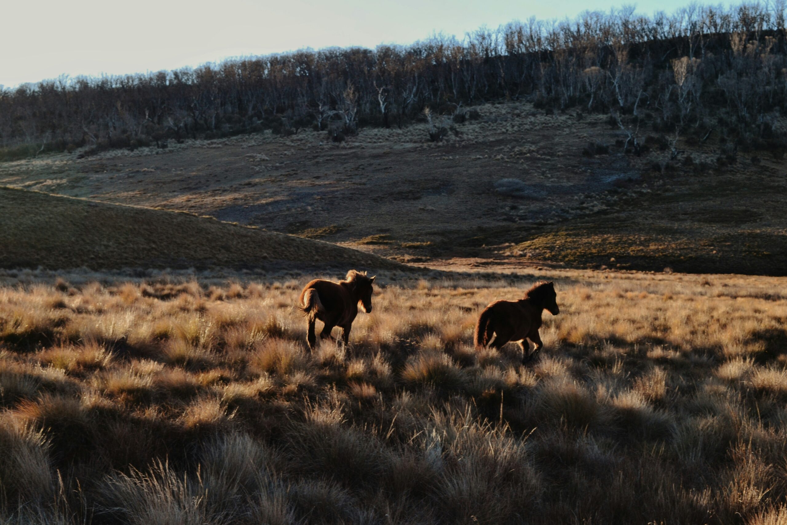 Brush Creek Ranch, Wyoming