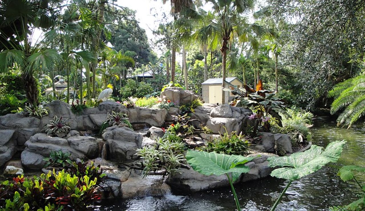 Lush tropical garden and stream at Busch Gardens Tampa Bay in Tampa.