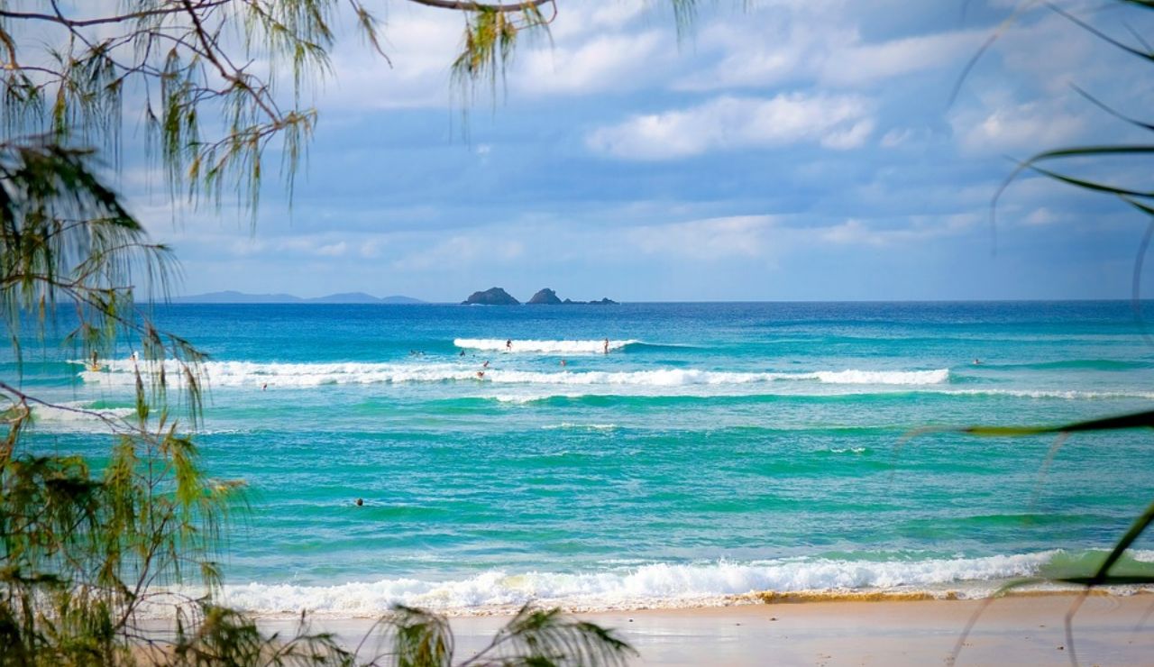 Surfers catch gentle waves on a turquoise beach framed by leafy branches.