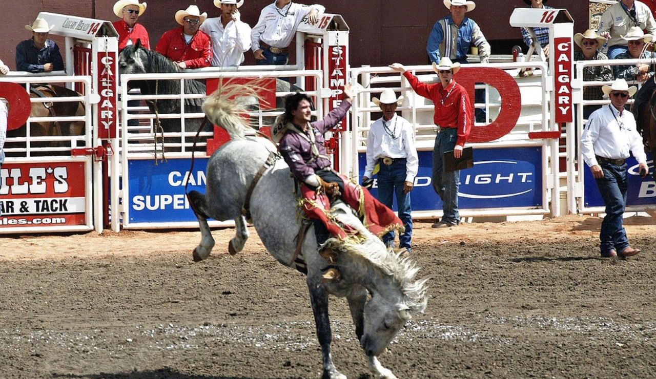 A rodeo rider holds on tightly while riding a bucking horse during a bronc riding event, with spectators and cowboys watching from behind the fence.