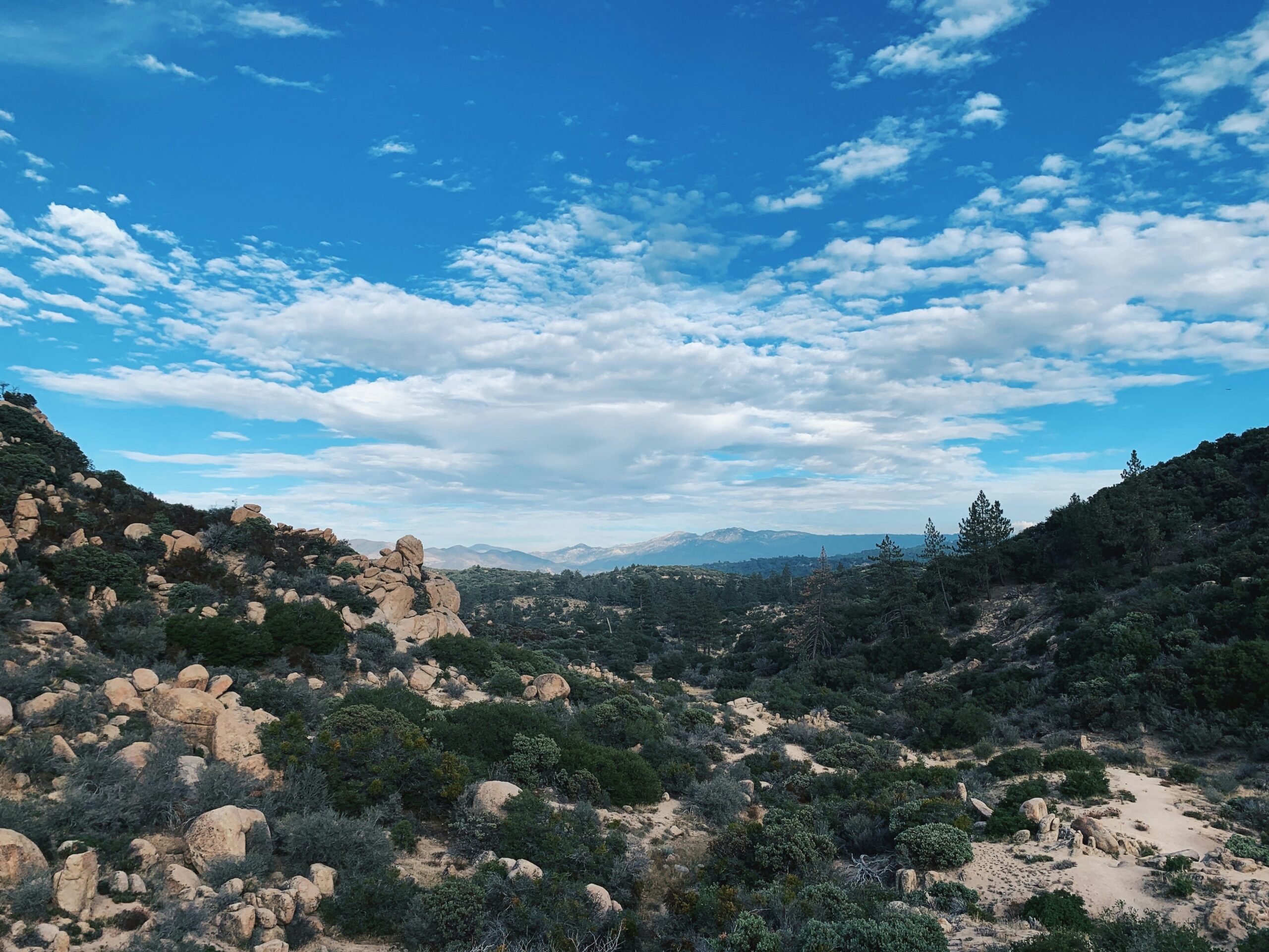 Calico, California, USA