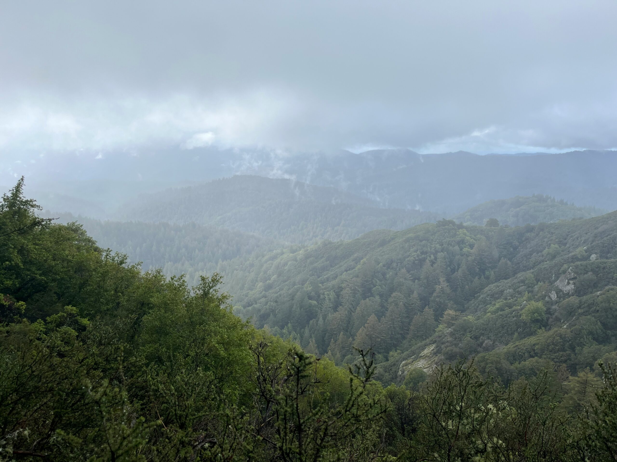 Castle Mountains, California