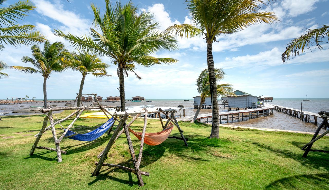 Bright hammocks under palm trees on the beach in Caye Caulker.