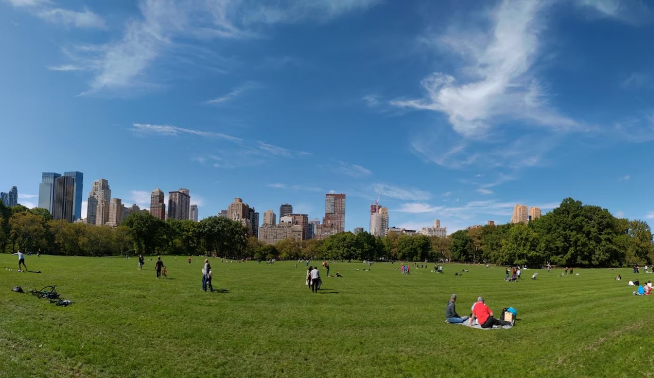People relaxing and walking on a large grassy field in a city park, with skyscrapers in the background under a clear blue sky.