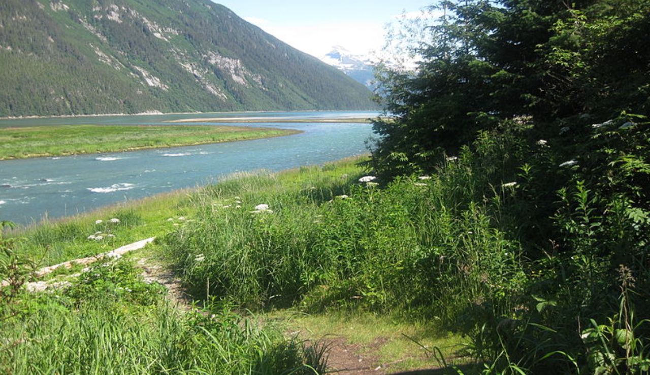 A scenic view of Chilkoot River in Alaska, with lush green vegetation in the foreground, a winding river, and forested mountains under a clear blue sky.