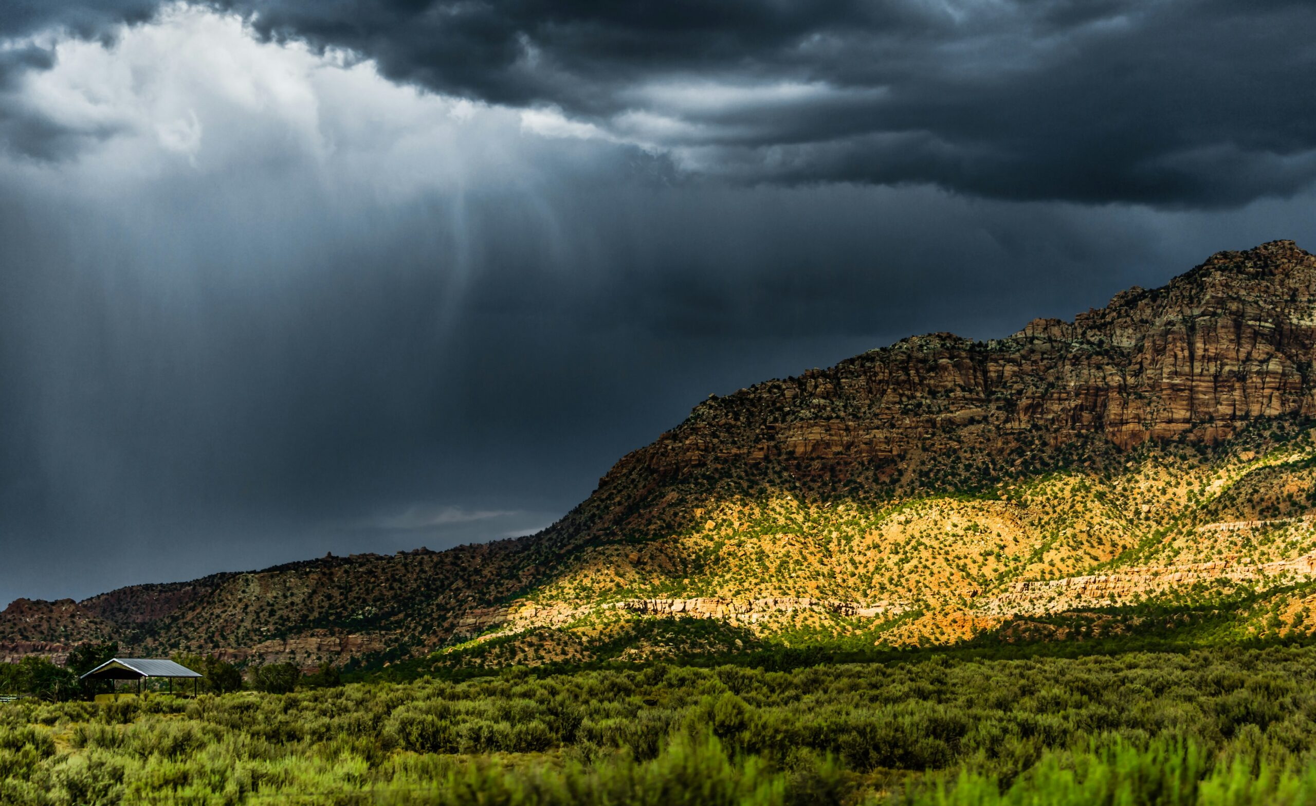 Chiricahua, Arizona