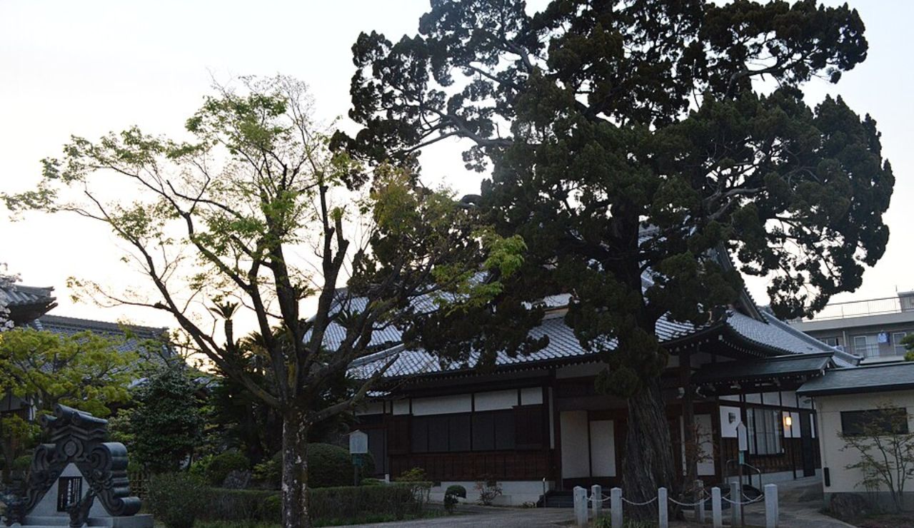 Traditional Japanese building with large trees and a peaceful garden.