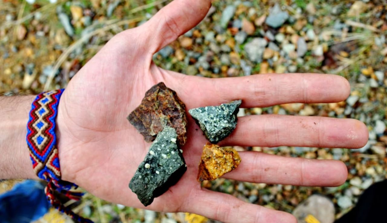 Close-up of a person's hand holding four colorful rock specimens collected from a rocky ground.