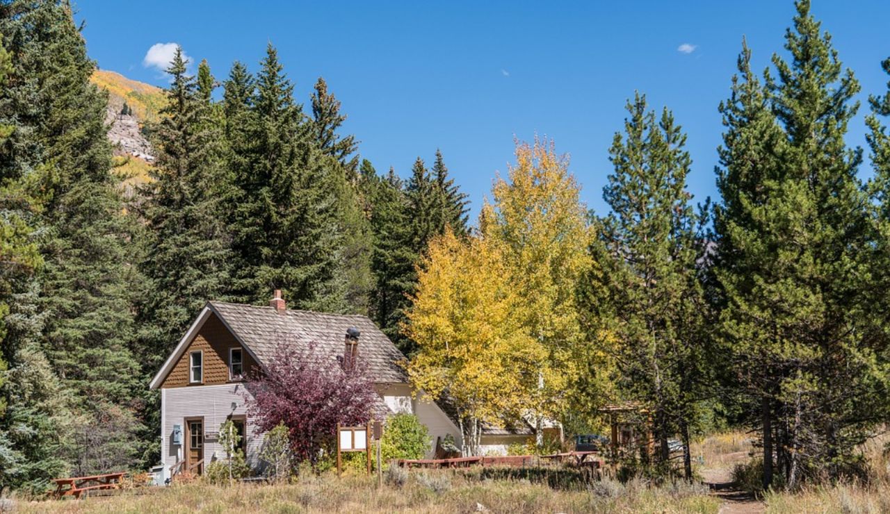 A cozy wooden house surrounded by tall pine and autumn-colored trees in a forest clearing under a clear blue sky.