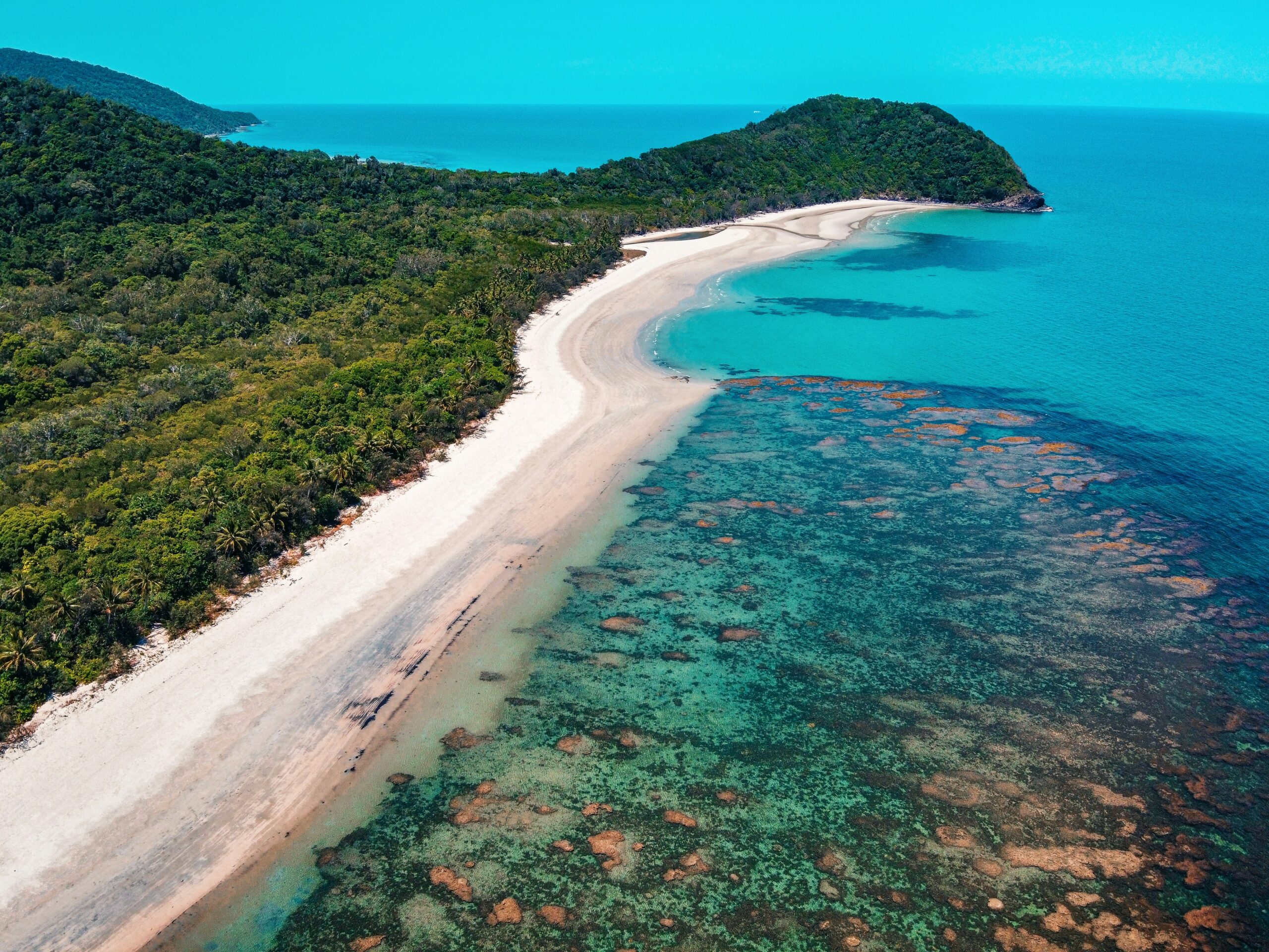 Daintree Rainforest – Ancient Enchantment