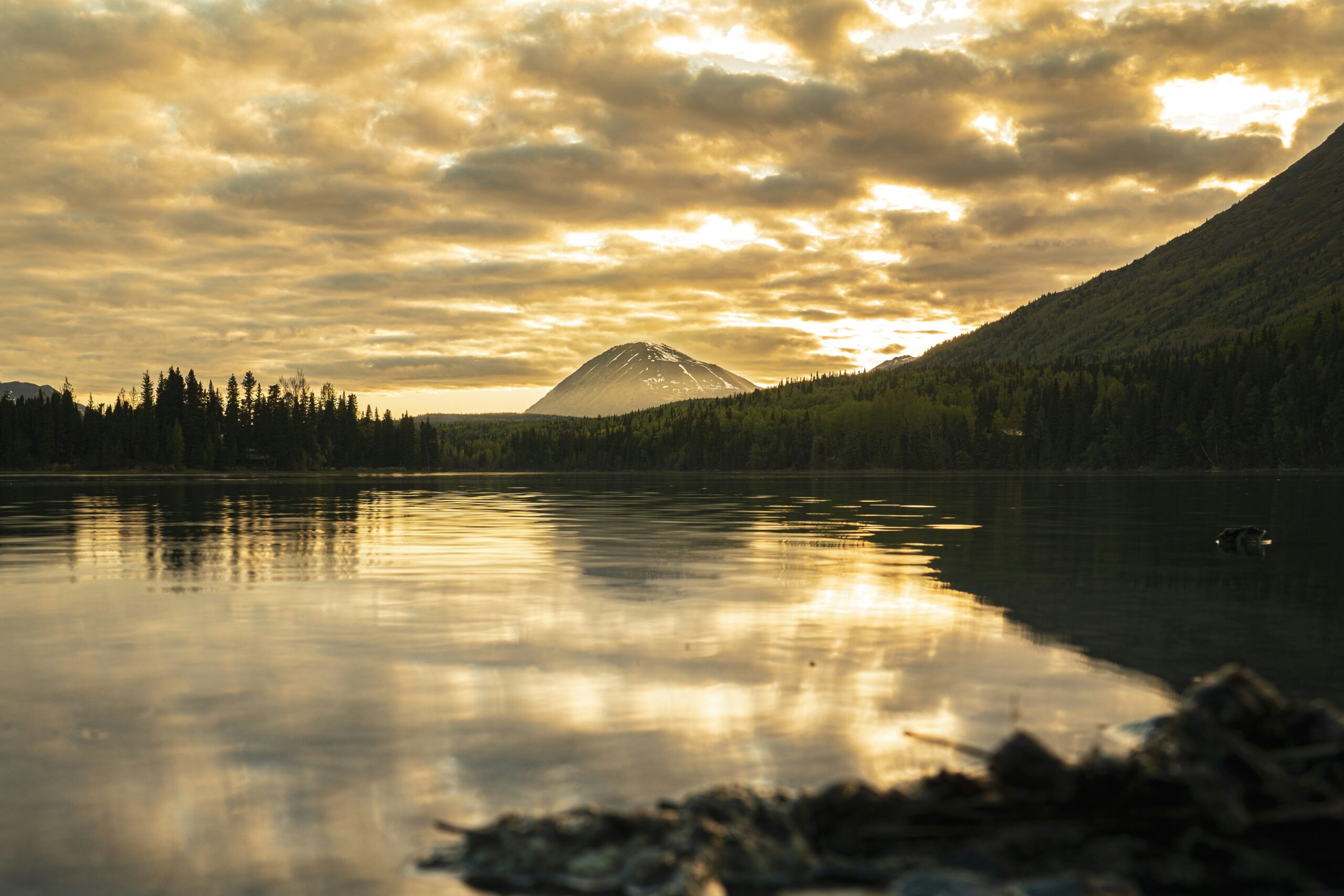 Denali National Park, Alaska, USA