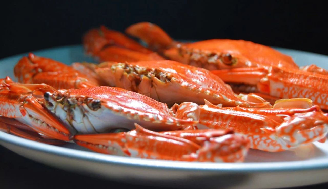 A Pacific Northwest favorite, Dungeness crab is sweet, tender, and perfect steamed or dipped in butter.