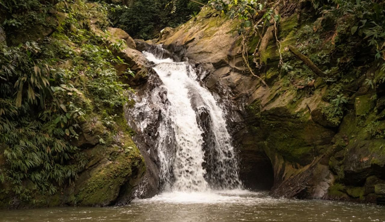 A small waterfall flows down mossy rocks into a calm pool, surrounded by dense tropical vegetation.