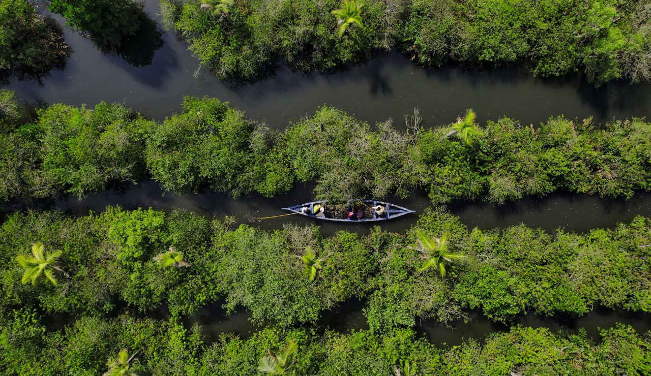 Airboat cruising through mangroves in Everglades National Park
