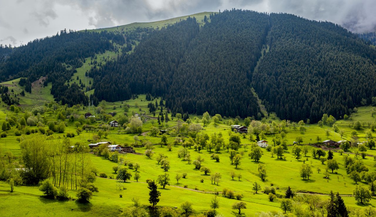 Nanga Parbat in the background at Fairy Meadows
