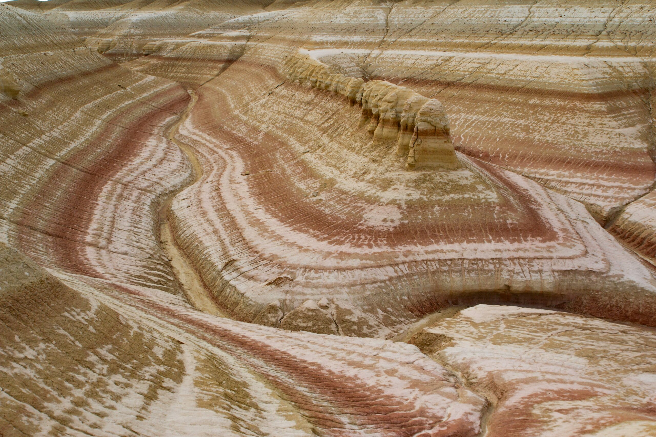 Florissant Fossil Beds, Colorado