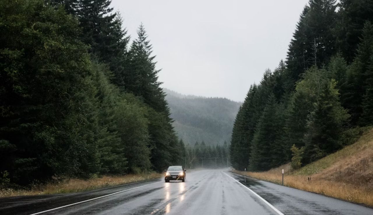 Car driving on a wet road through dense forest in the Pacific Northwest, capturing the region’s moody, rain-soaked beauty.