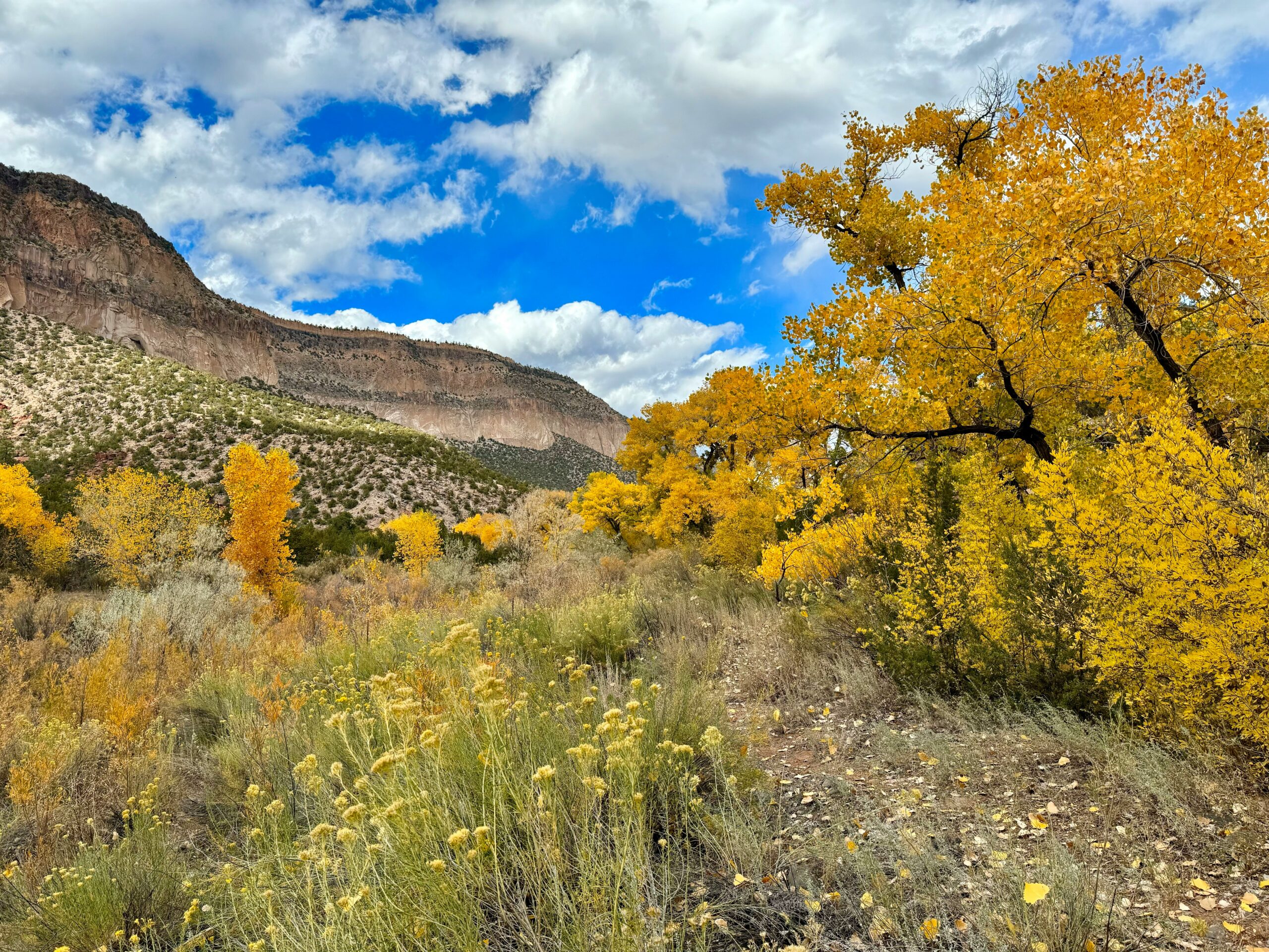 Gold Butte, Nevada