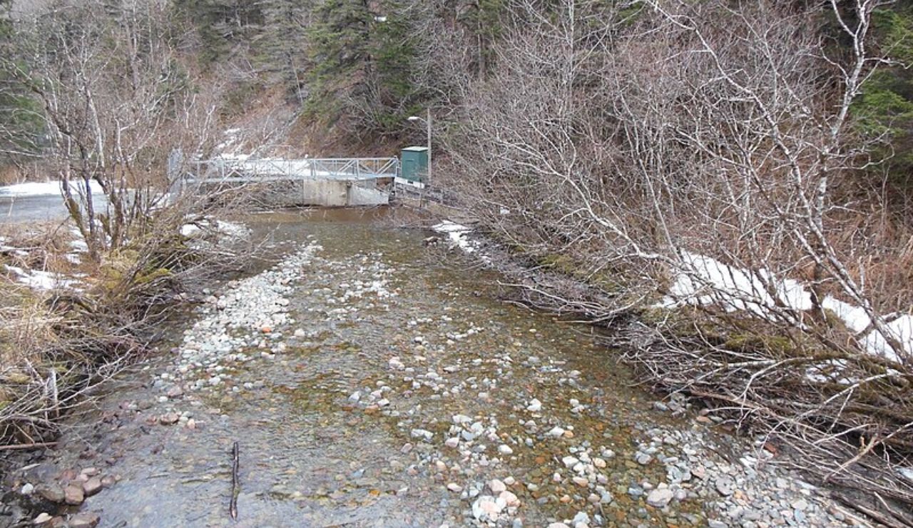 A shallow, rocky stream flows beneath a small footbridge surrounded by leafless trees and evergreens near a forest in Alaska.