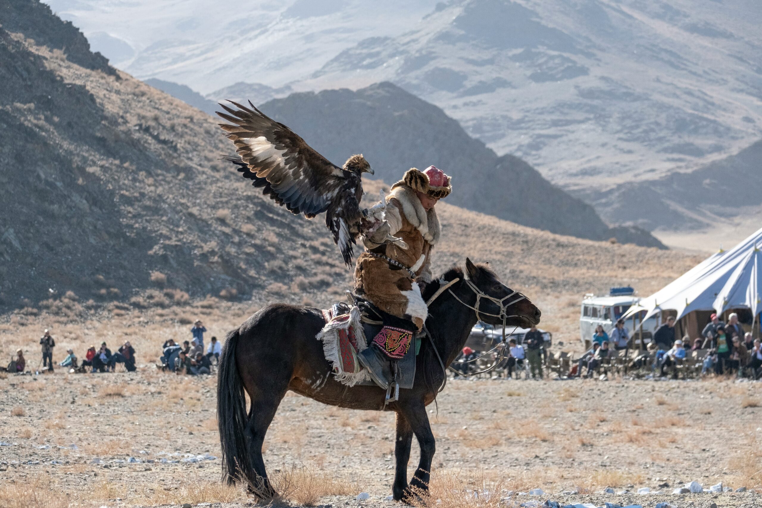 Golden Eagle Festival, Mongolia