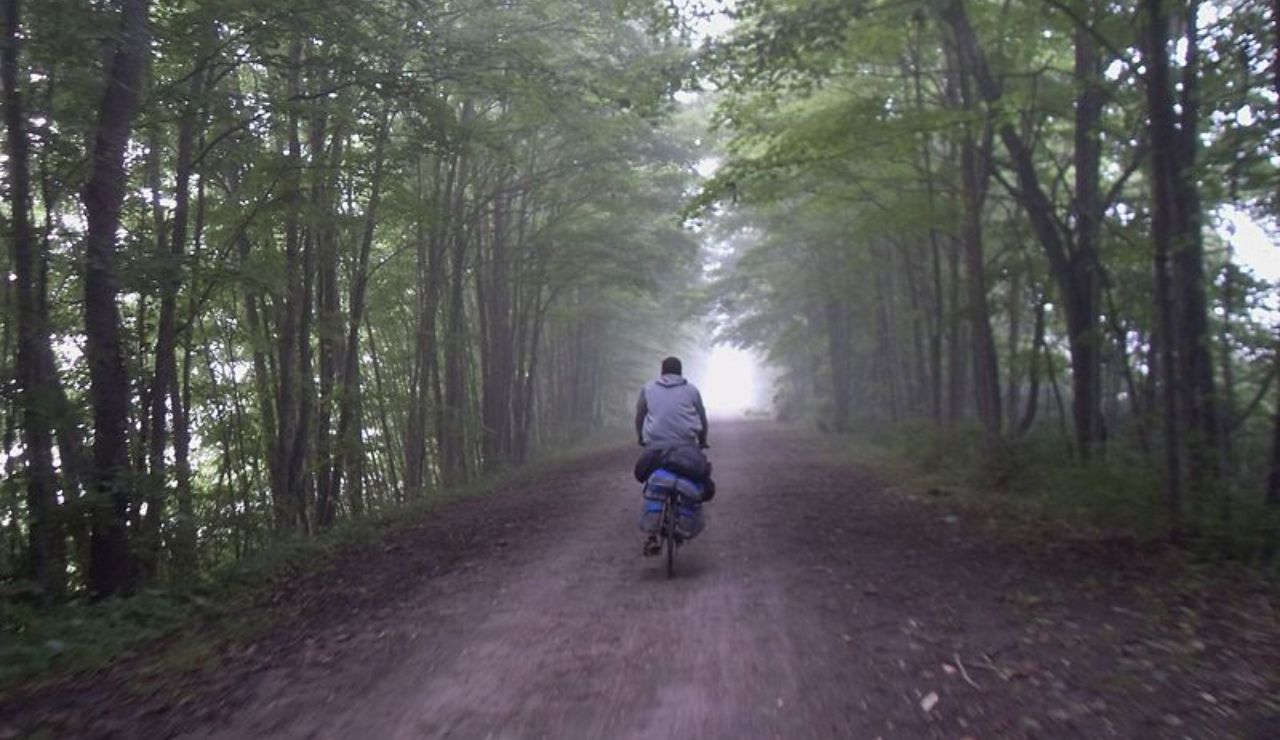Cyclist rides down a misty, tree-lined dirt trail surrounded by dense green forest.