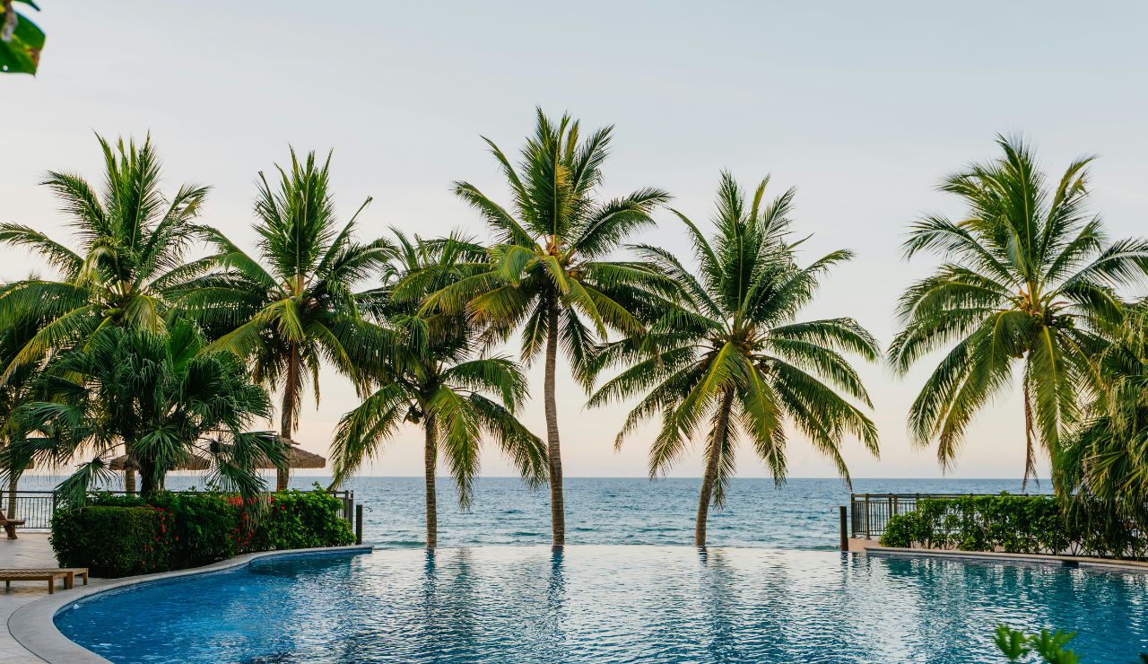A clear swimming pool bordered by palm trees overlooks the ocean under a clear sky.
