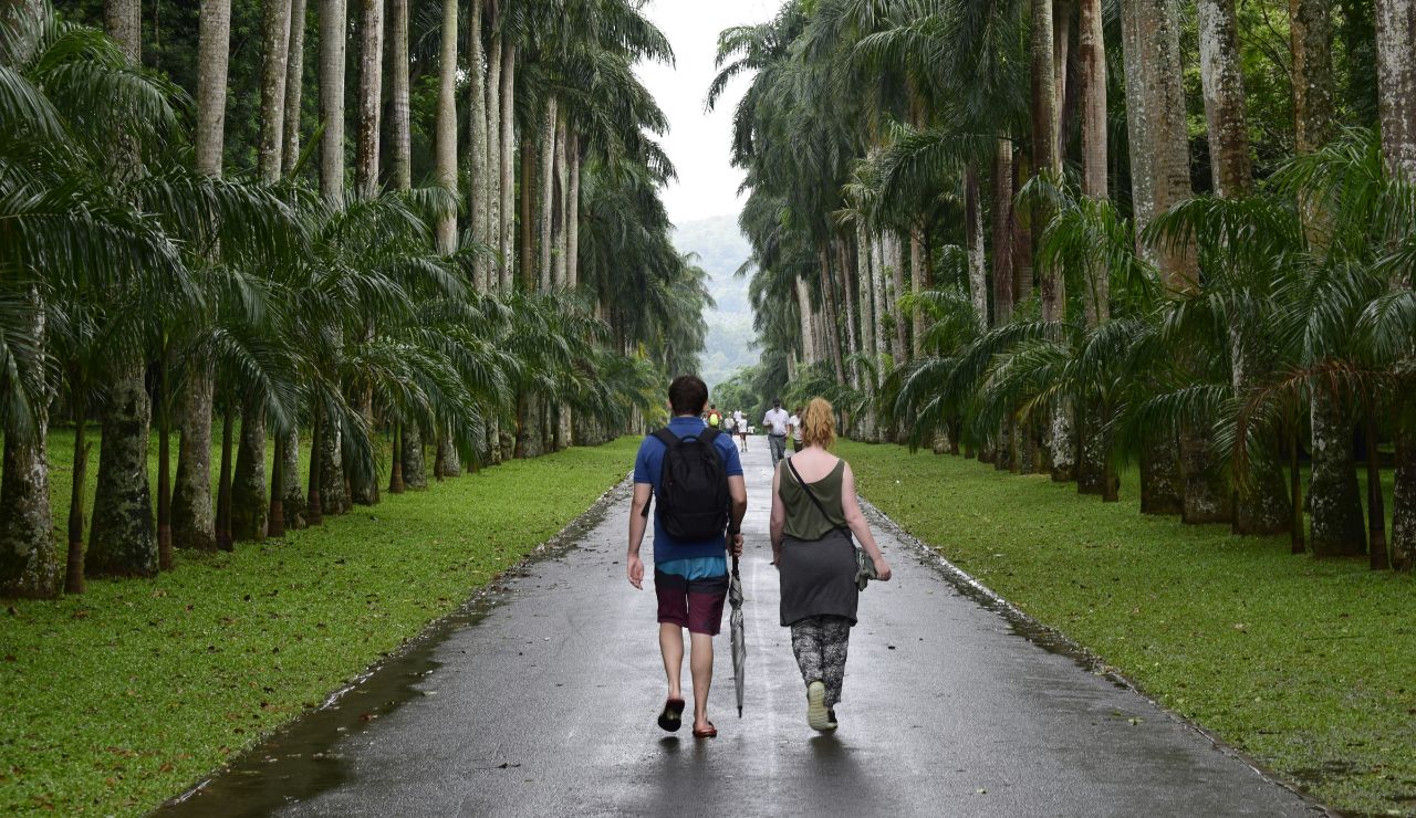 Couple walking through tropical greenery at Heathcote Botanical Gardens.