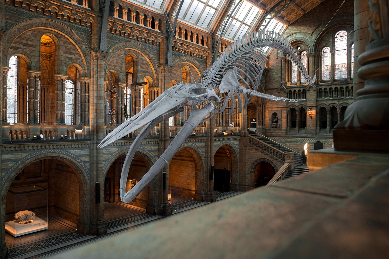 Museum Mile