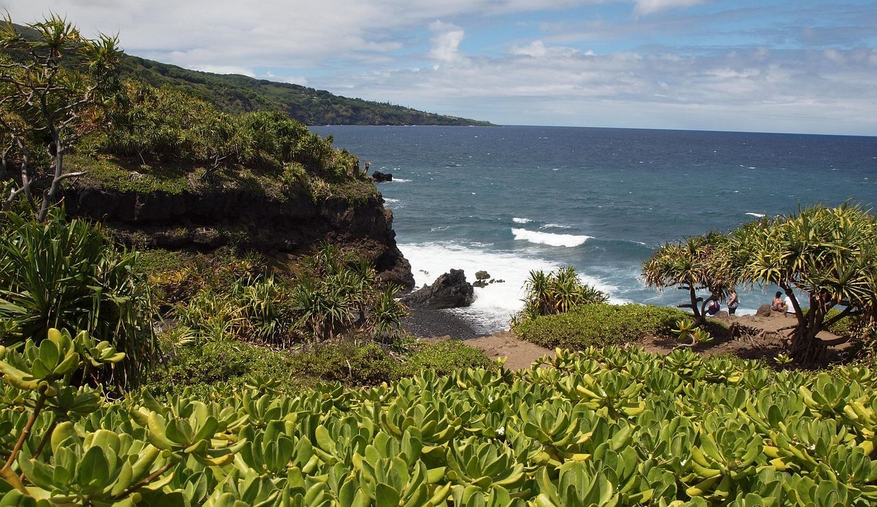 Rocky coastline with lush green vegetation overlooking deep blue ocean waves and a partly cloudy sky.