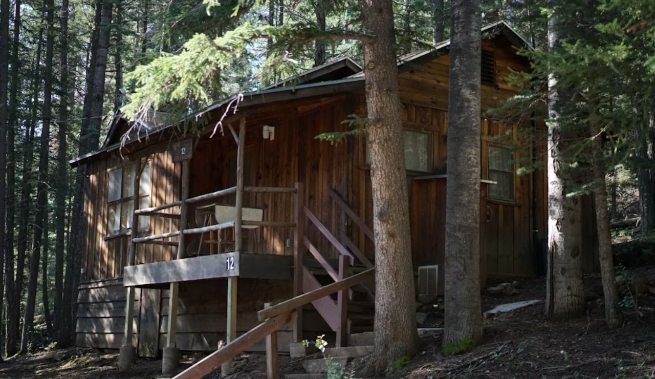 A rustic wooden cabin nestled in a dense forest with stairs leading up to a small porch.