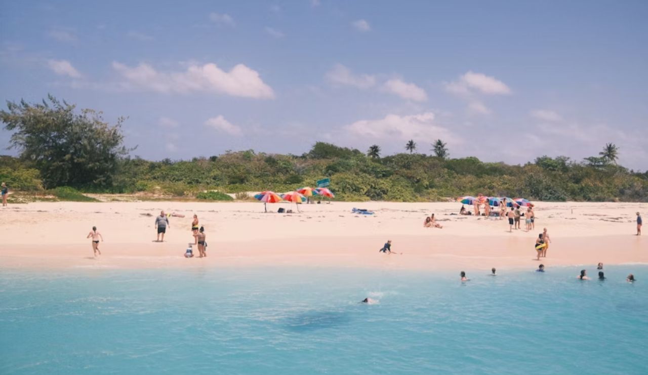 People relaxing and swimming at a sunny beach with light blue water, colorful umbrellas, and green vegetation in the background.