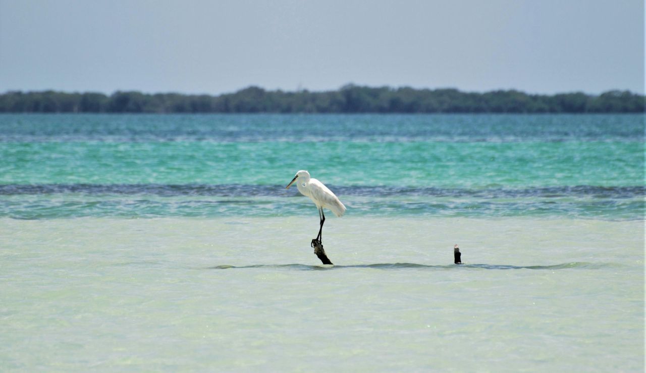 Peaceful beachfront with hammocks or palapas, no crowds.