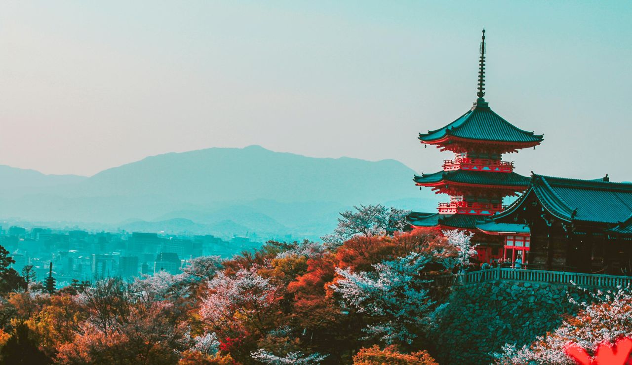 Cherry blossoms and temples in Japan