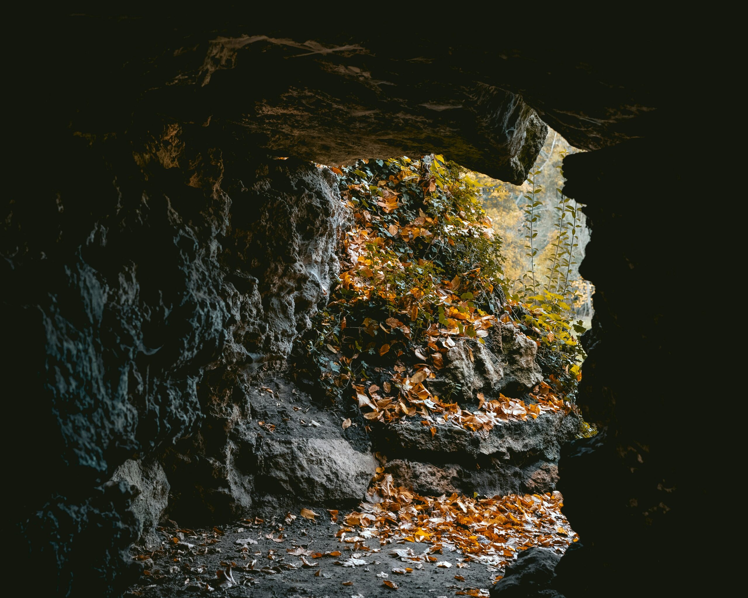 Jewel Cave, South Dakota