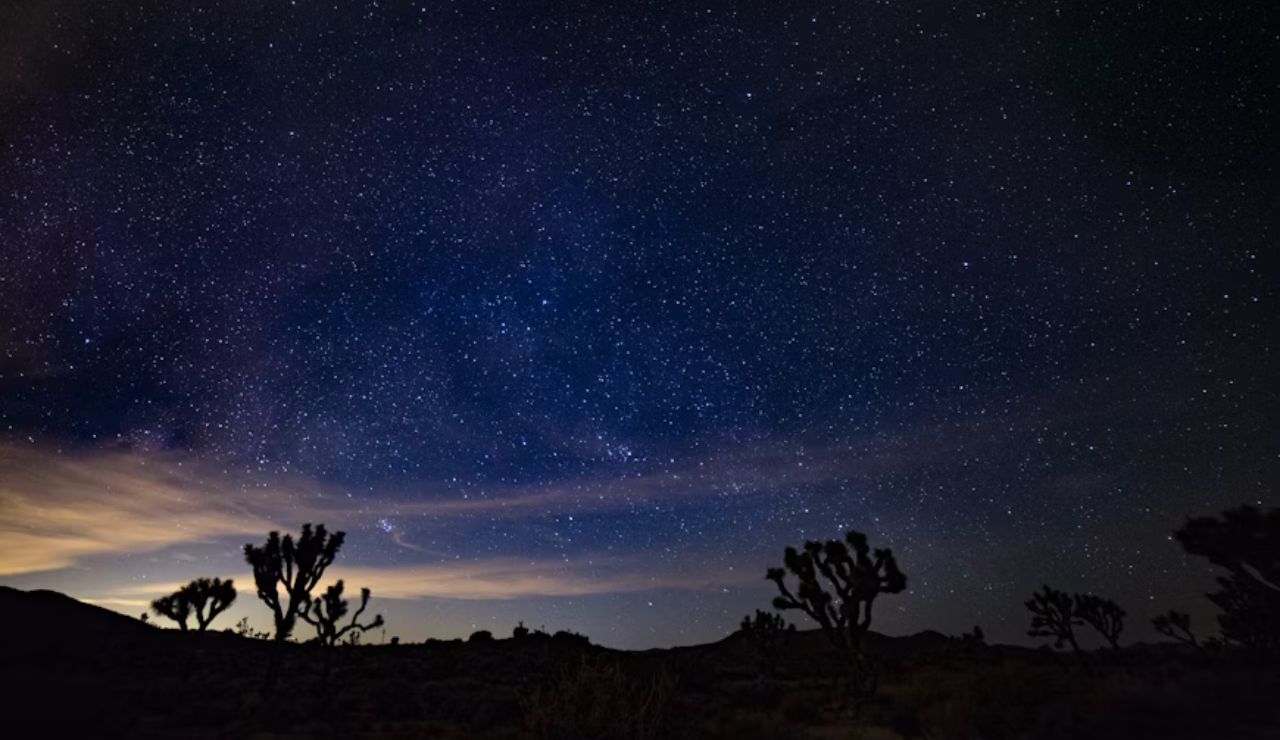 The night sky dazzles above the silhouetted Joshua trees in California.