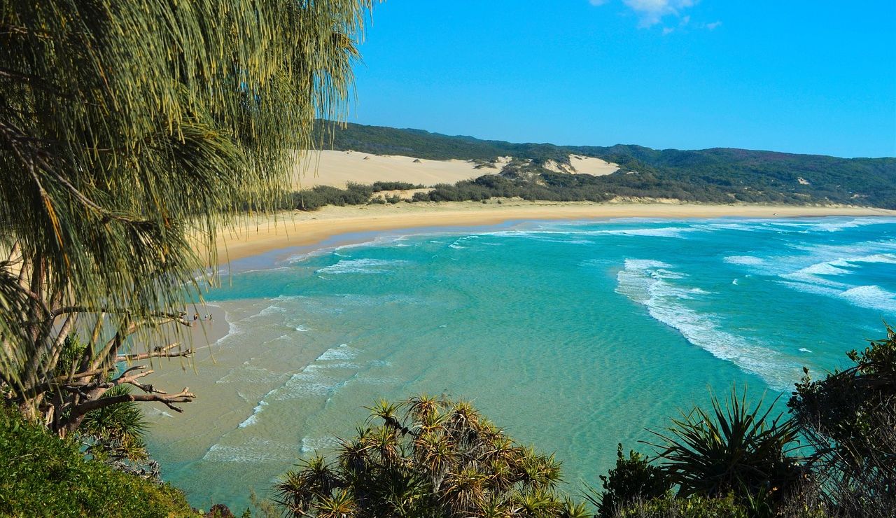 Tropical beach with clear turquoise water, golden sand, and large coastal dunes backed by forested hills, framed by lush vegetation in the foreground.