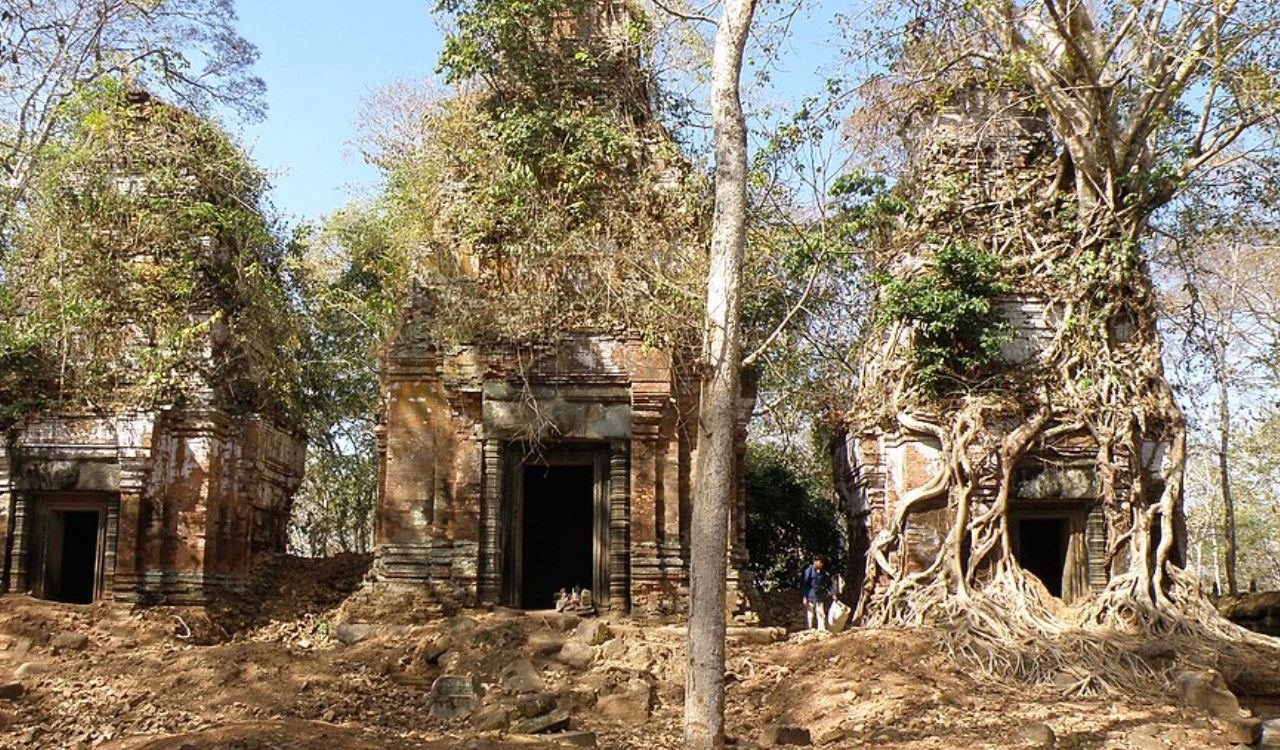 Ruins of Koh Ker Temple, overgrown with trees and vines in Cambodia.