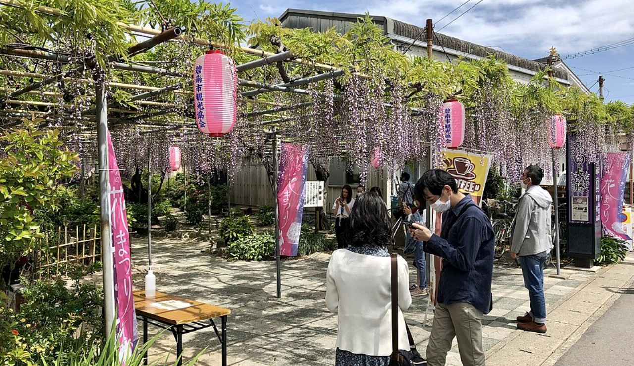 Visitors enjoying a vibrant wisteria garden with hanging purple flowers and lanterns, during a festival in Japan.