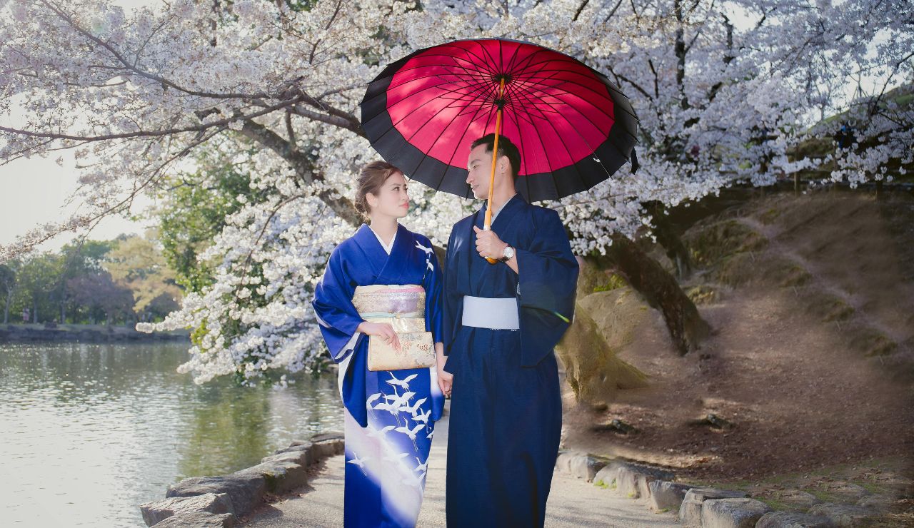 Couple walking under blooming cherry blossom trees in Kyoto