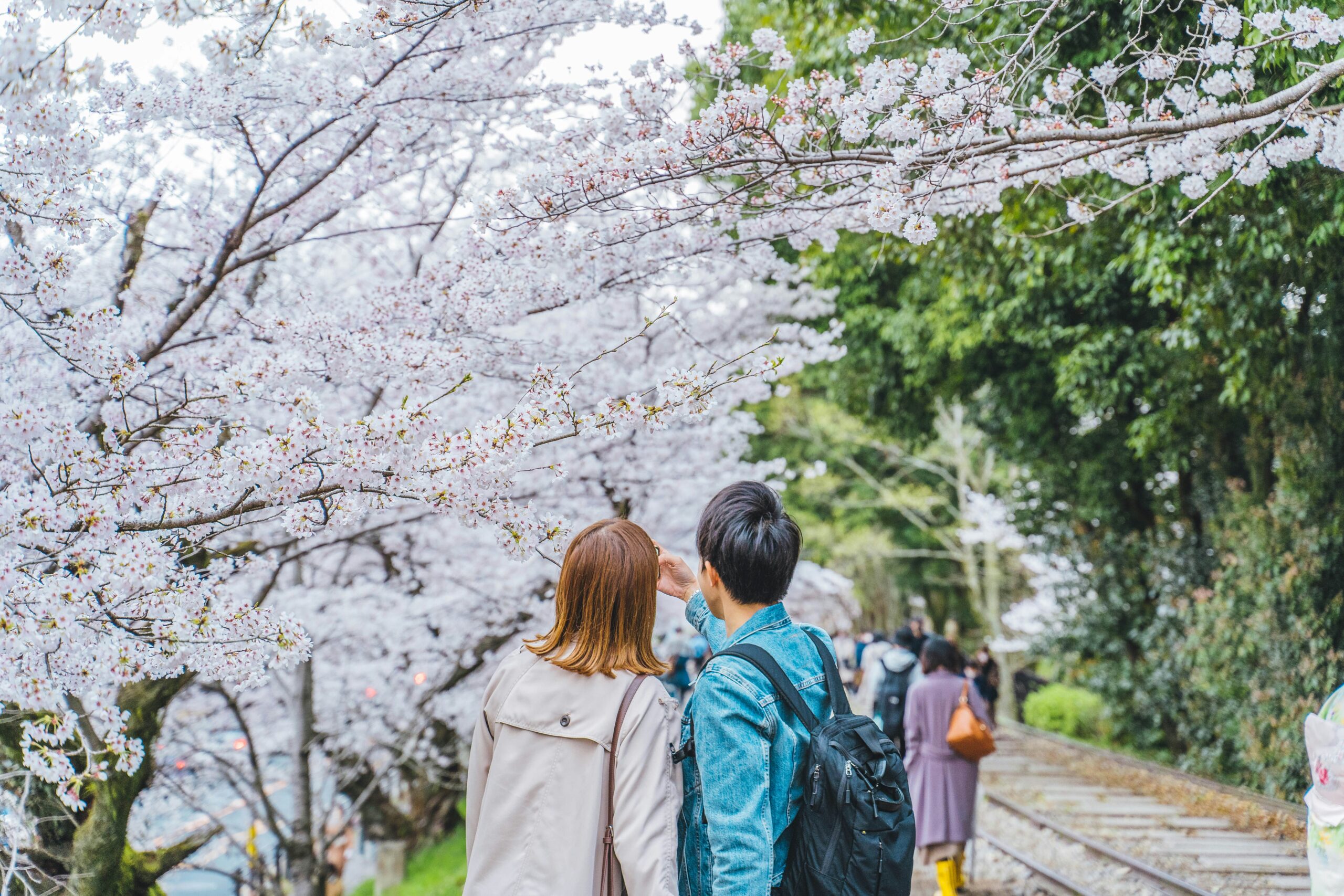 Kyoto, Japan