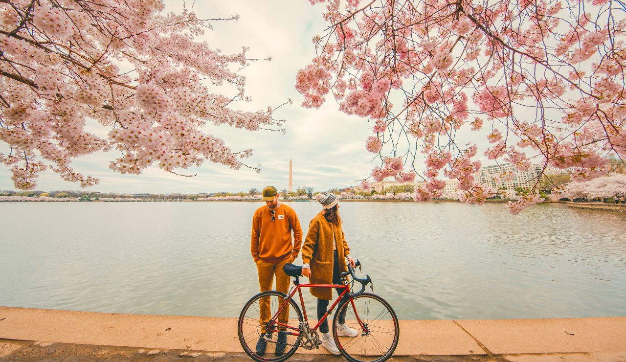 Couple biking by vineyards near Lake Champlain.”