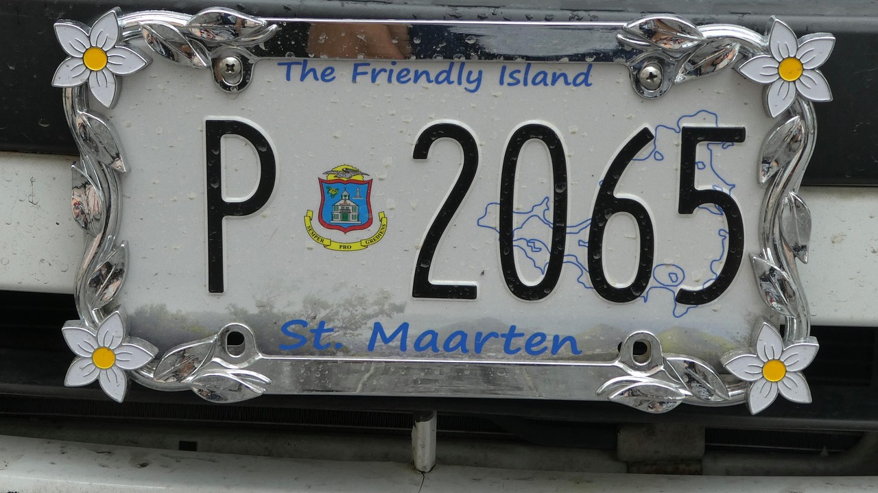 A license plate
