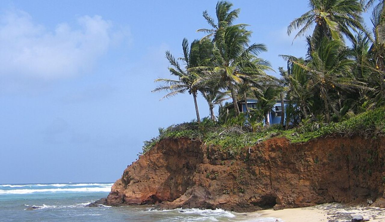 Palm trees and a small house perched on a rocky cliff above a tropical beach with gentle ocean waves.
