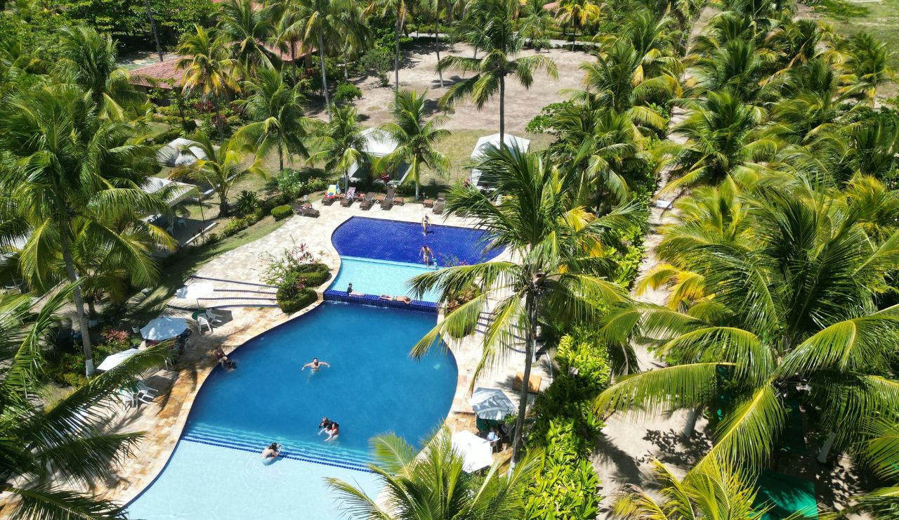 Aerial view of two outdoor pools surrounded by palm trees, lounge chairs, and greenery, with people swimming and relaxing.
