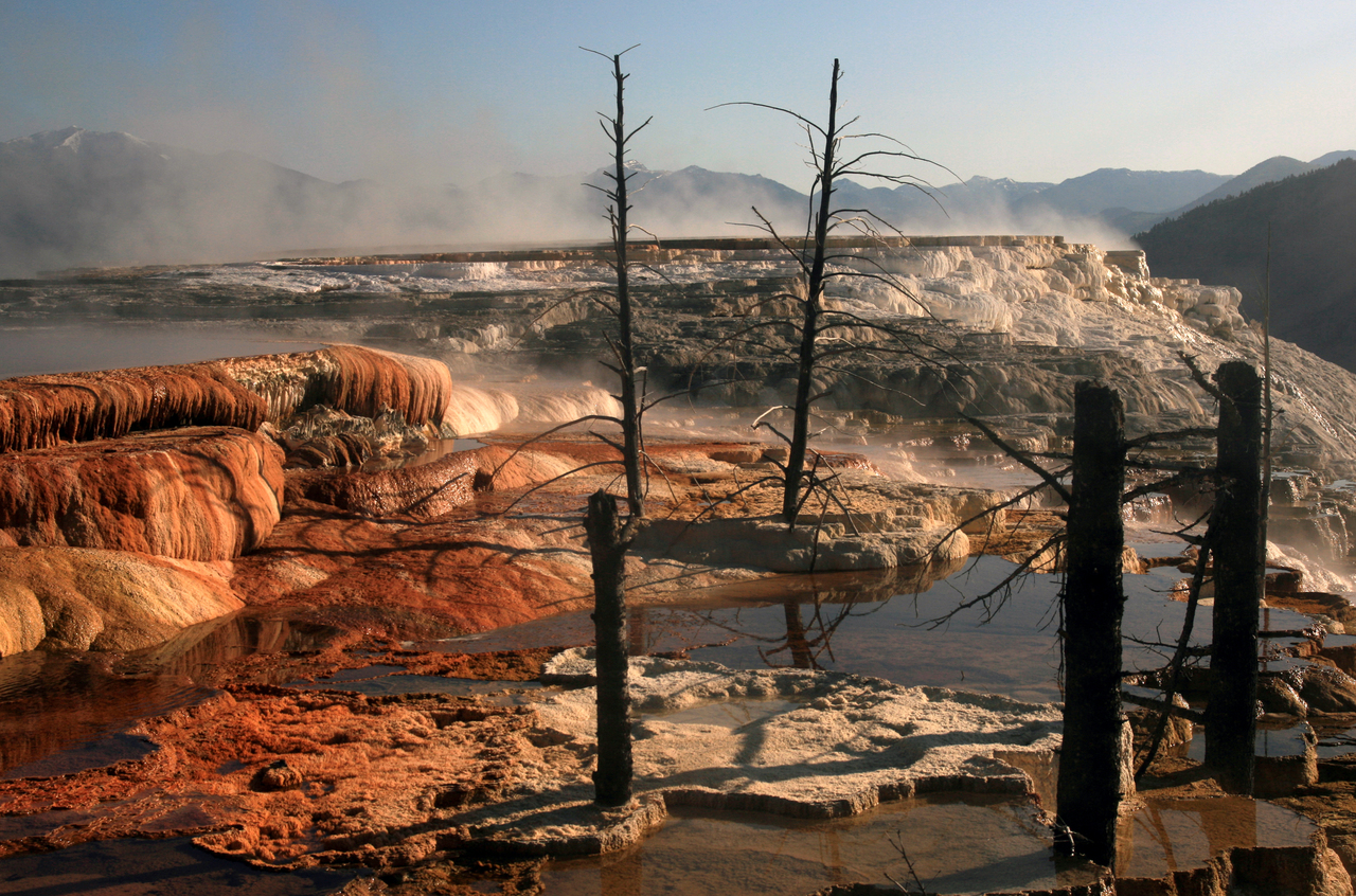Mammoth Hot Springs Terraces