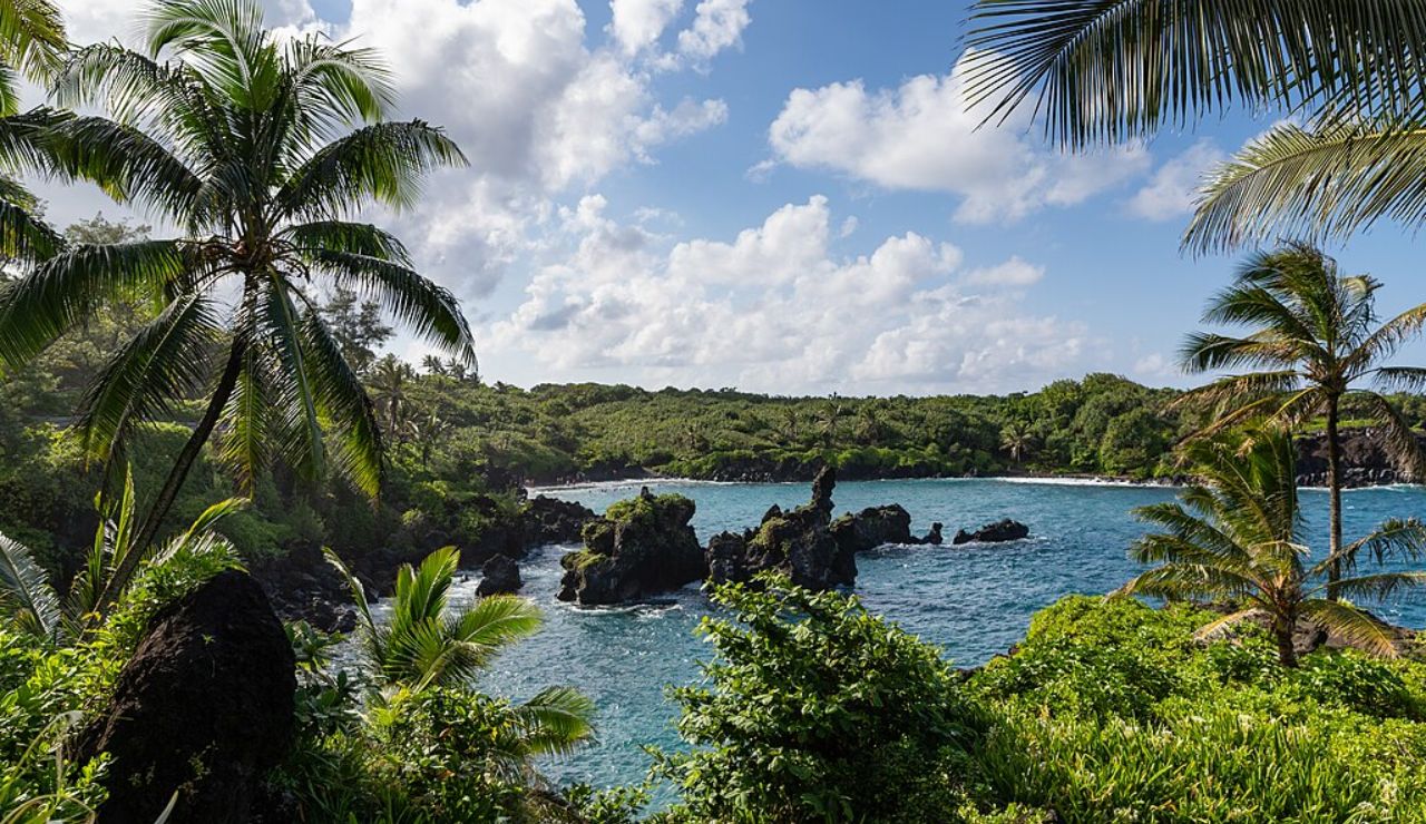 Lush tropical coastline and black lava rocks at Waiʻānapanapa State Park in Maui, Hawaii.